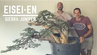 EISEI-EN OPENING DEMO ON SIERRA JUNIPER