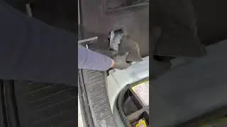 Many years of having a dog in the car: This is how I saved the carpet