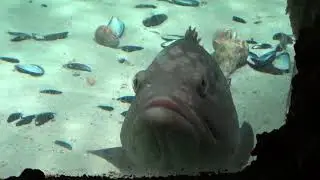 Rhodes part 3