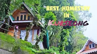 One of the Best Homestays in Kurseong | Budget Homestay in Kurseong | Jungle view | Hill Cart Rd