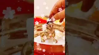 श्री कृष्ण जन्माष्टमी पर लड्डू गोपाल का कैसे करें श्रृंगार जानिए पूरी जानकारी इस छोटे से वीडियो में