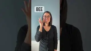 BEE & WORLD BEE DAY | ASL Glossary | The ASL Shop