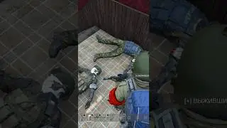 Вальнули одного, а получили лут x3 #dayz #dayzcommunity #dayzstandalone
