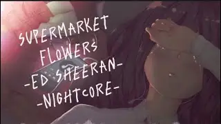~Supermarket Flowers~ -NIGHTCORE LYRIC VIDEO-