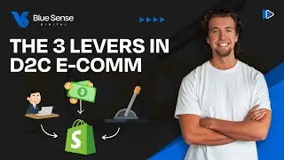 The Three Levers in D2C eCommerce