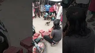 কি সাধারণ শান্ত আর ভদ্র