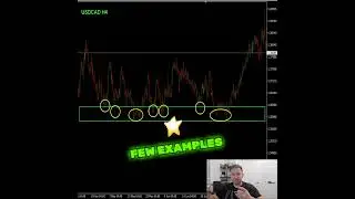 All You Need To Know About Support Levels In Forex Trading