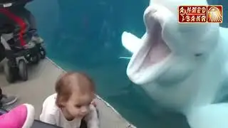 29 сентября 2018 г.