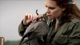 Polizeiruf 110 - Raubvögel