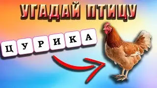 УГАДАЙ НАЗВАНИЕ ПТИЦЫ ПО БУКВАМ