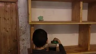 новая полка