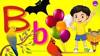 Letter B : Word starts with letter B