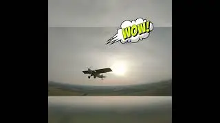 Bushflycamp 2023