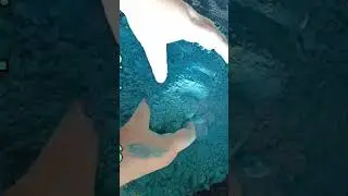 #reformedgymchalk