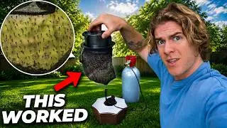 I Finally Got Rid of Mosquitoes in My Yard (Here's How)
