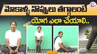 Yoga For Knee Pain Relief | మోకాళ్ళ నొప్పులు తగ్గాలంటే.. | Pain Relief Exercises for older age