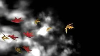 Free Smoke With Leaves Effect Video Background