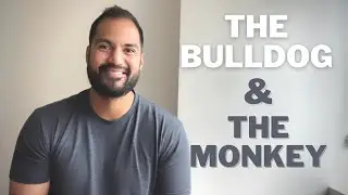 The Bulldog & The Monkey - Mental Performance by Justin Su'a