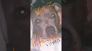 The Highlander Vol.3 - DJ Active Mcs Simpson, Tra & Banks - November 2017