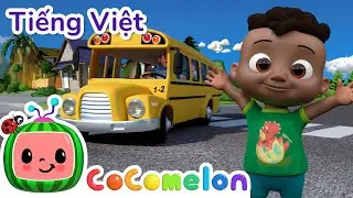 Bánh Xe Của Xe Buýt | Bài hát dành cho trẻ em | CoComelon Lồng tiếng việt - Karaoke dành cho trẻ em