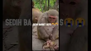SEDIH BANGET GUYS#shorts #tiktok #viral