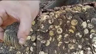 The moment when a priceless treasure is found, an incredible treasure!!