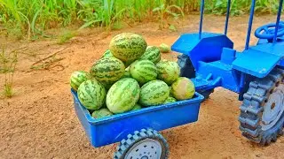 Tractor trolley Mini Watermelon loding| Tractor vedio| Watermelon Heavy Loding Trolley| Rk Toy