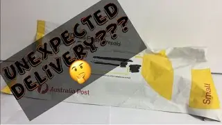 Unboxing my new Camponotus aeneopilosus queen + An extra surprise!