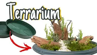 Saksıdan Evde Teraryum Yapımı / Free Terrarium Making
