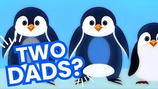 Penguin Families: Love and Diversity in the Animal Kingdom
