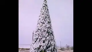 Кушка. Зима
