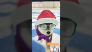 meet niko my new pet its name is Niko and it's little freinds dogs and cats nintendo switch