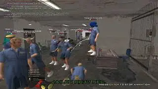 Обычный день из деморгана на Arizona RP Saint-Rose