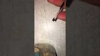 Камера для подводной рыбалки Калипсо сломалась.