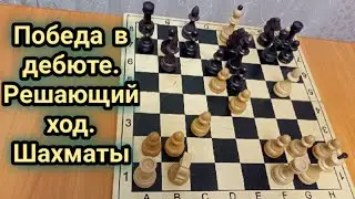 Как выиграть в Итальянской партии в дебюте?! Шахматы. Шахматная ловушка!