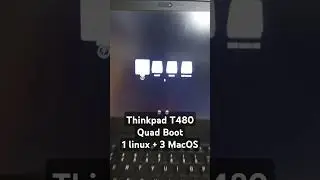 Thinkpad T480 Quadboot - 1 Linux + 3 MacOS