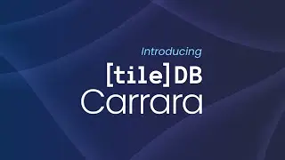 Introducing TileDB Carrara – The Only Database Designed for Discovery