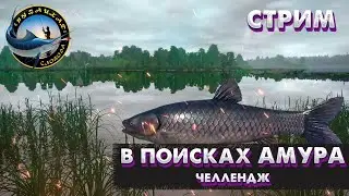 🐟Русская Рыбалка 4🐟ОХОТА НА АМУРА. ЧЕЛЛЕНДЖ. [RR4]