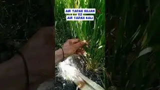 irigasi buatan, akibat kemarau