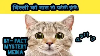 5 ऐसे fact जो आप नहीं जानते होने / बिल्ली को मारा तो होगी फांसी / Fact Mystery Media