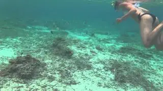 Gili Island - Indonesia