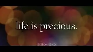 life is precious | free audio (for edits)
