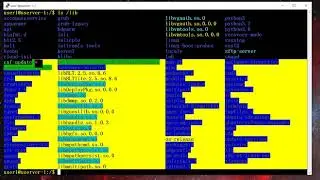 Ubuntu Command Line - Directory Traversal In Ubuntu Linux - What's in the Directory?