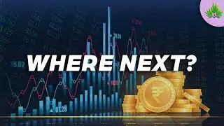 At a new peak, where next?