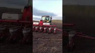 2 июня 2024 г.