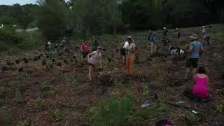 Bhodi Khaya Greenpop2021 treeplanting