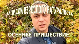 Прекрасная осень. Приветсвие