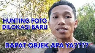 Hunting Makro Di Lokasi Baru Ternyata Dapat Objek Seperti Ini - Macro Photography Using Smartphone