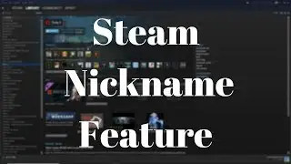 Steam Nickname Feature