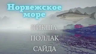 Русская рыбалка 4 (РР4) Норвежское море Сайда